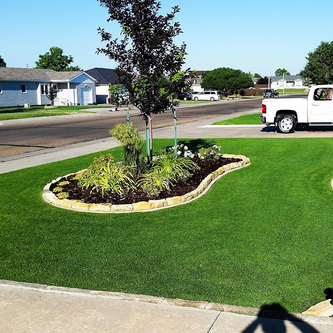 Outsidepride Monaco Bermuda Grass Seed - 2 lbs. Drought-Tolerant, Dense, Wear-Resistant Turf Grass Seeds for Lawn, Sports Fields, & High-Traffic Areas - Ideal for Warm-Season & Transition Zone Areas