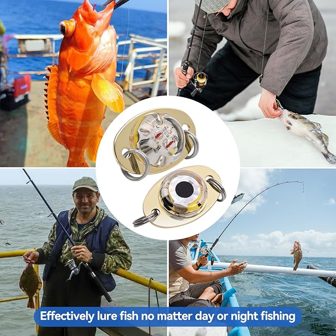 LED Underwater Fishing Lures,LED Lighted Bait Flasher,Deep Drop Fishing Lures,Fish Eye Attractive Light Bait Lure Lamp 5PCS