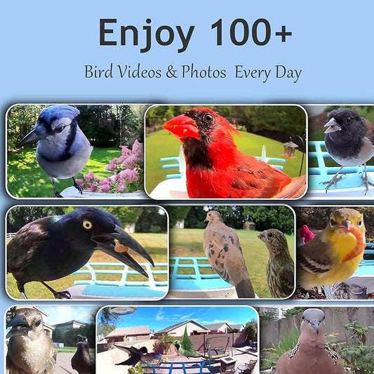 64GB Smart Bird Feeder with Camera Solar Powered, AI Identify 10K+ Bird Aves, 2K 3MP HD Live Video &Playback on Phone, 2.4G WiFi Birdhouse Camera Wireless Outdoor-Watching House (Light Blue)