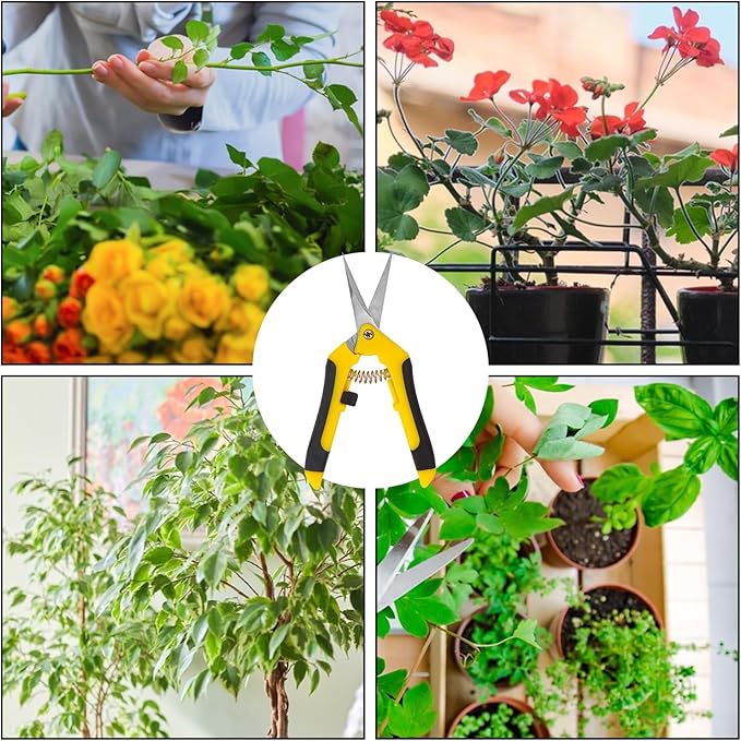 20 Pack 6.5 Inch Garden Pruning Scissors, Hand Pruner with Stainless Steel Blades, Sharp Point Gardening Shears Cutter, Gardening Pruning Shear, Supplies & Accessories(Yellow)