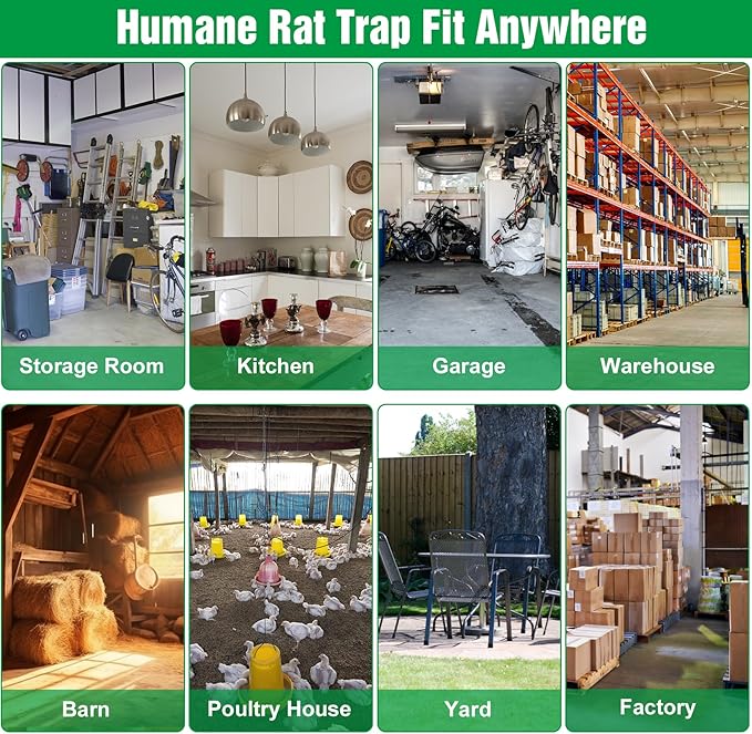 2 Packs Humane Rat Trap Outdoor, Wanqueen Humane Mouse Traps Indoor for Home, Small Rodent Chipmunk Trap and Other Live Animal Cage Catch and Release