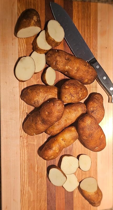 Idaho Russet Certified Potato Seed Real Whole Potatoes American Grown Non GMO Ready to Grow 3LBS