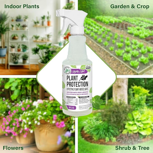 Mighty Mint Peppermint Plant Protection Spray for Insects, Gnats, Fungus, Mites, and Disease, 16 oz