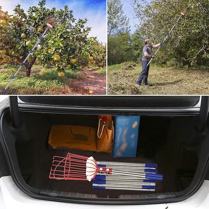 Fruit Picker Pole with Basket - 8 Foot Adjustable Height Fruit Picker Tool with Stainless Steel Fruit Picking Pole for Apple Cherry Berry Fit Orange Blueberry Mango Avocado Lemon Peach