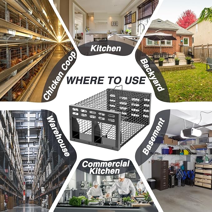 Rat Trap, Humane Live Rat Trap & Automatic Reset Mouse Traps with Dual One-Way Door Design – Catch and Release for Mice, Chipmunks, Hamsters, and Other Rodents, Indoors & Outdoors(Black)