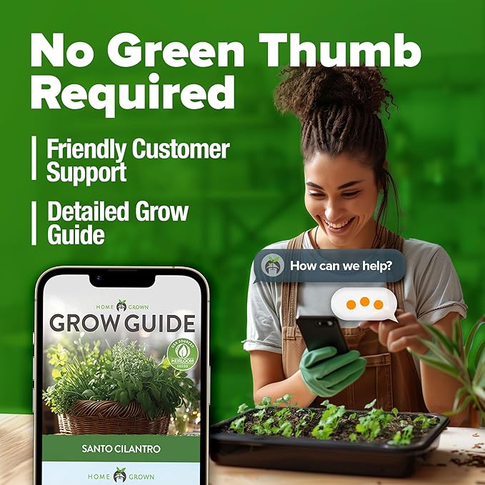 HOME GROWN π¨π¦π π£π₯ππ ππ¨π 500+ Cilantro Seeds (Fast Growing) π‘π’π‘-ππ π’ Heirloom Coriander Seeds for Planting Indoors & Outdoors β Santo Cilantro Herb for Kitchen Garden, High Germination