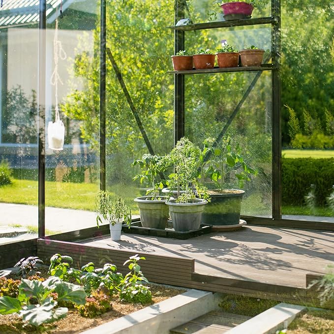 VINGLI 6x10 FT Greenhouse for Outdoors, Twin-Wall Translucent Heavy Duty Polycarbonate Greenhouse Kit with 5 Roof Vents, Weather Resistance for Plants Protection, for Home Gardening (Black, 6x10 FT)