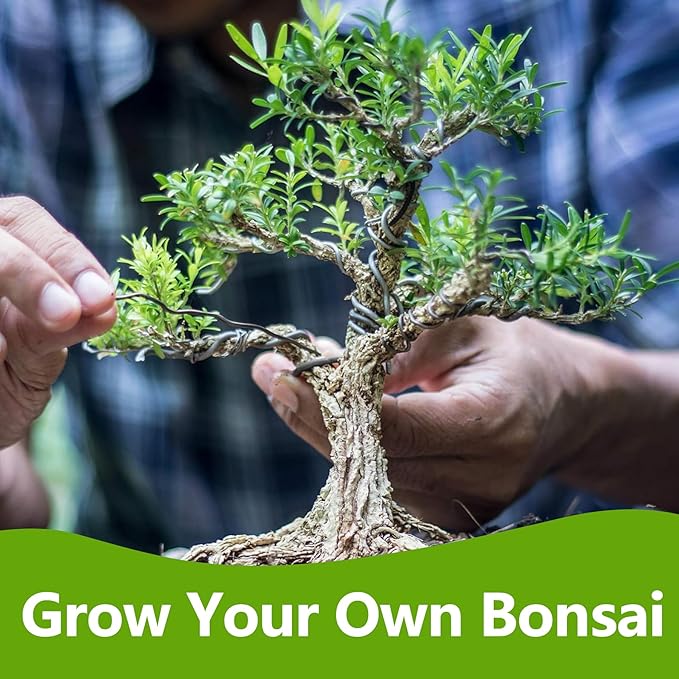 Bonsai Tree Kit, Bonsai Starter Kit with Seeds Tools & Planters, Tree Live Plants Indoor, Gardening Gifts for Women Men Mom Father Plant Lover, Birthday Thanksgiving Christmas Gifts