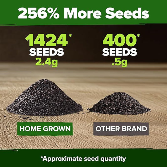 HOME GROWN π¨π¦π π£π₯ππ ππ¨π Italian Basil Seeds Bulk Pack 1,424 Sweet Large Leaf Basil Seeds for Planting π‘π’π‘-ππ π’ and Heirloom Herb Seeds for Planting Indoors or Outdoors (Ocimum basilicum)