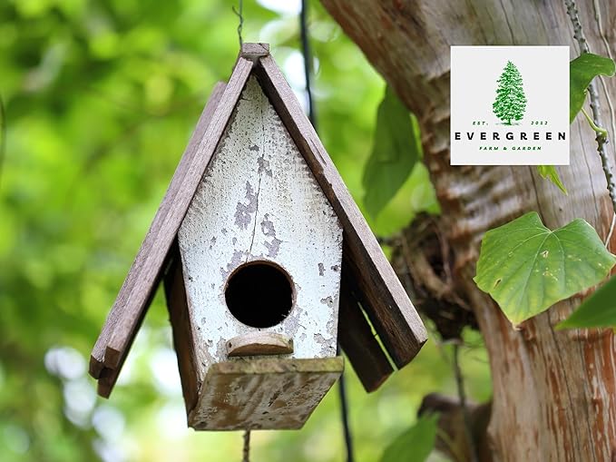 Birdseed Cylinders with Hole - Bird Seed for Outside Wild Birds (Small Cylinder, Bandit Buster 2pc)