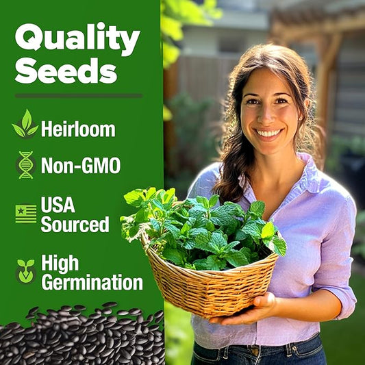 HOME GROWN π¨π¦π π£π₯ππ ππ¨π Peppermint Seeds Pack β 2,370 π‘π’π‘-ππ π’ Heirloom Mint Seeds for Planting. Grow Peppermint Plants in Your Herb Garden Indoors or Outdoors (Mentha x piperita)