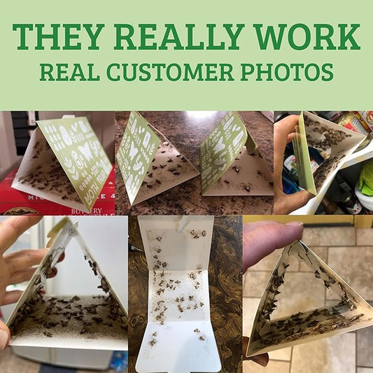 Superior Pantry Moth Traps 6-Pack with Pheromones Prime | No Insecticides | Safe, Non-Toxic and Child and Pet Friendly Pantry Protection | Superior Attractant