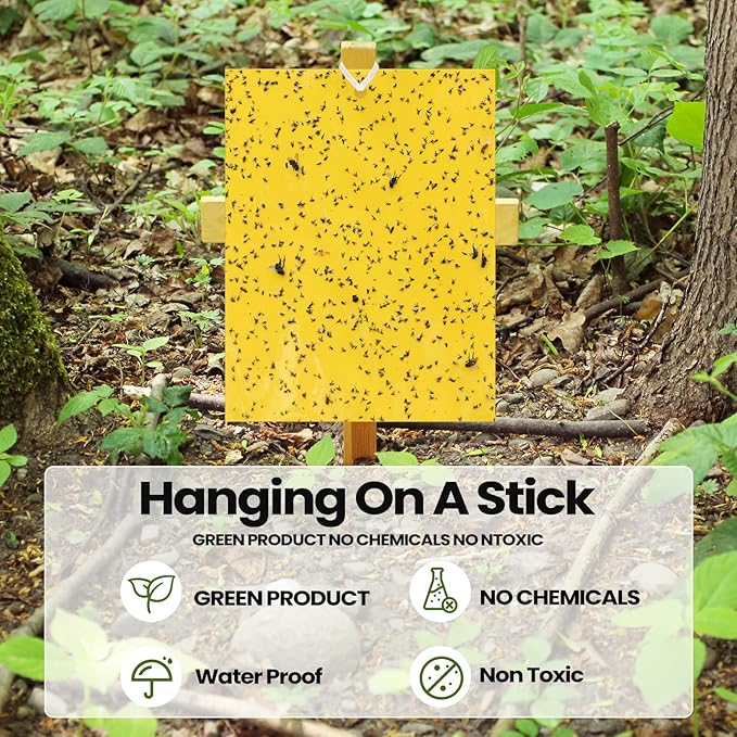 Qualirey 150 Pcs 6 x 8 Inch Sticky Traps for Gnats Dual Sided Fruit Fly Sticky Traps for Indoor and Outdoor Plant with Twist Ties and Plastic Holders for Flying Plant Insect, Fungus Gnats (Yellow)
