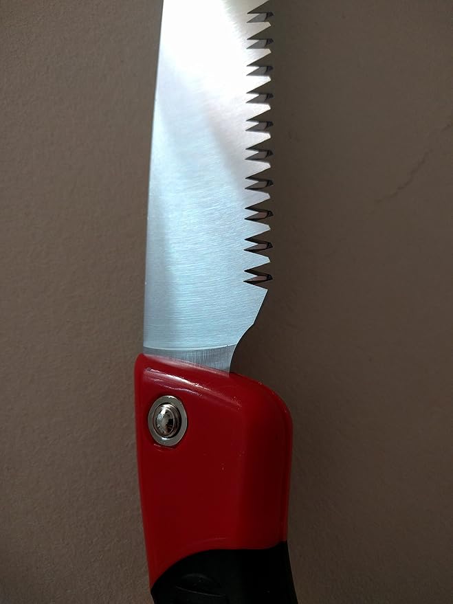 TABOR TOOLS Pruning Saw with Sheath, 10 Inch Hand Saw with Straight Blade and Holster, Suitable for Trimming Tree Branches and Clearing Forest Trails. TTS32A. (10 Inch, Straight Blade)