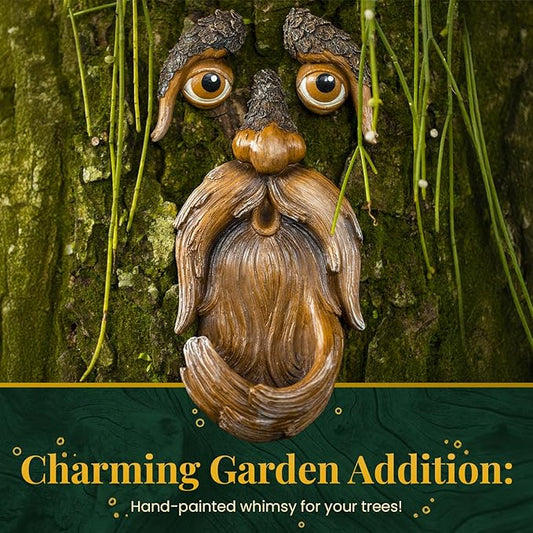 Tree Face, Tree Faces Outdoor, Tree Art, Tree Decorations Outdoor, Tree Faces, Tree Stump Decor, Face for Tree Trunk, Outdoor Tree Decorations, Tree face Decor, Tree Faces Decor Outdoor, Tree Eyes