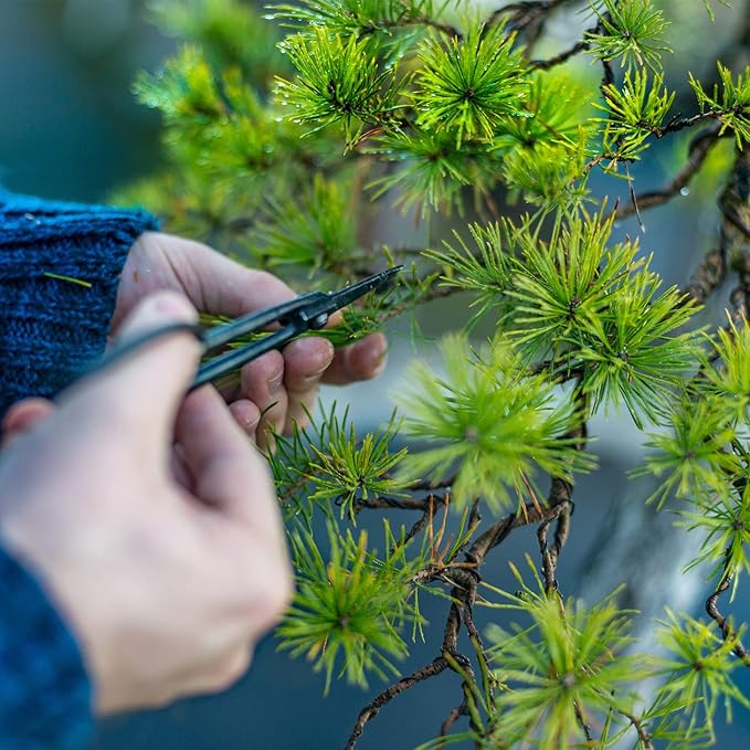 PATIKIL 2.5mm Bonsai Training Wire, Floral Wire Stems Anodized Aluminum Tree Wire 32.8 Feet Total for Gardening Branch Fixing, Black