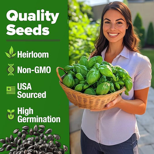 HOME GROWN π¨π¦π π£π₯ππ ππ¨π Genovese Basil Seeds Pack 1,750+ High Germination π‘π’π‘-ππ π’ Heirloom Seeds (Ocimum basilicum) Herb Seeds for Planting Indoor & Outdoor Gardening, for Culinary Use
