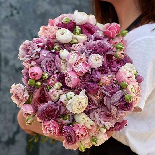 Eden Brothers Ranunculus Bulbs - Secret Garden Mix