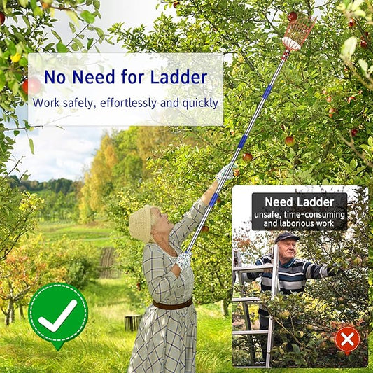 BsBsBest Fruit Picker Pole with Basket, Telescoping Fruit Picker Tool with Long Handle, 35-65 Inch Adjustable Apple Avocado Orange Picker, Stainless Steel Fruits Catcher Tree Picker