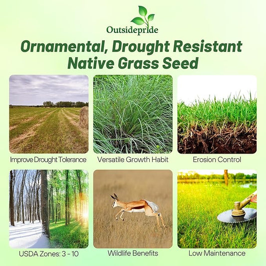 Outsidepride Perennial Little Bluestem Grass Seed - 5 lbs. Warm Season, Drought Resistant, Long-Lived Native Prairie Grass Seed, Ideal for Erosion Control, Ornamental Landscaping & Wildlife Gardens