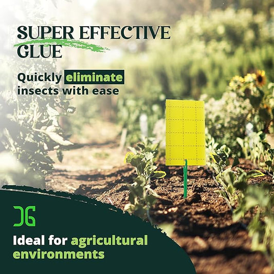 Catchmaster GRO Yellow Regular Double Sided Sticky Traps 36PK, Adhesive Bug & Fruit Fly Trap, Pest Control for Home, Farm, Garden, Hydroponics & Greenhouse, Protect Live Plants Indoor & Outdoor
