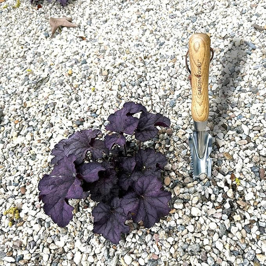 Garden Guru Hand Weeder Trowel with Ergonomic Handle – Stainless Steel Weeding & Digging Knife – Rust Resistant - Perfect for Weeding, Transplanting, Digging, Pruning, Cutting - 1 Case (50 Pcs)