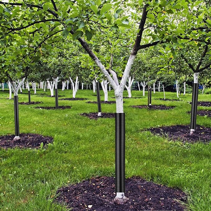 Menkxi 20 Pcs Corrugated Tree Guards Saplings Tree Trunk Protectors from Deer Tree Tubes Guard Tube Wraps to Protect Bark, Sapling from Rodents, Mowers, Animals (15.7 x 2, 15.7 x 1.5,Black)