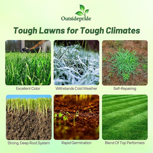 Outsidepride Combat Extreme Northern Zone - 50 Lbs Cold-Hardy, Drought-Resistant Turf Type Tall Fescue & Kentucky Bluegrass Lawn Grass Seed Blend, OptiGrowth Coated for Better Establishment
