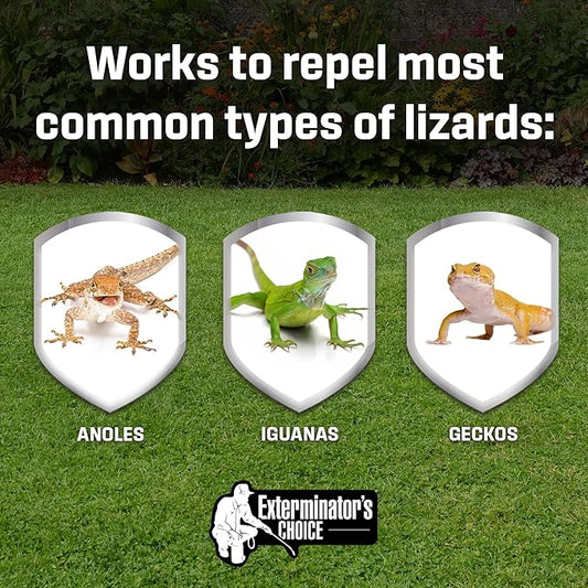 Exterminators Choice Gecko & Lizard Defense Spray - 1 Gallon (128 Fl Oz) White Unscented - Natural Essential Oils Formula for Lizard Extermination - Safe Around Kids & Pets - Made in USA