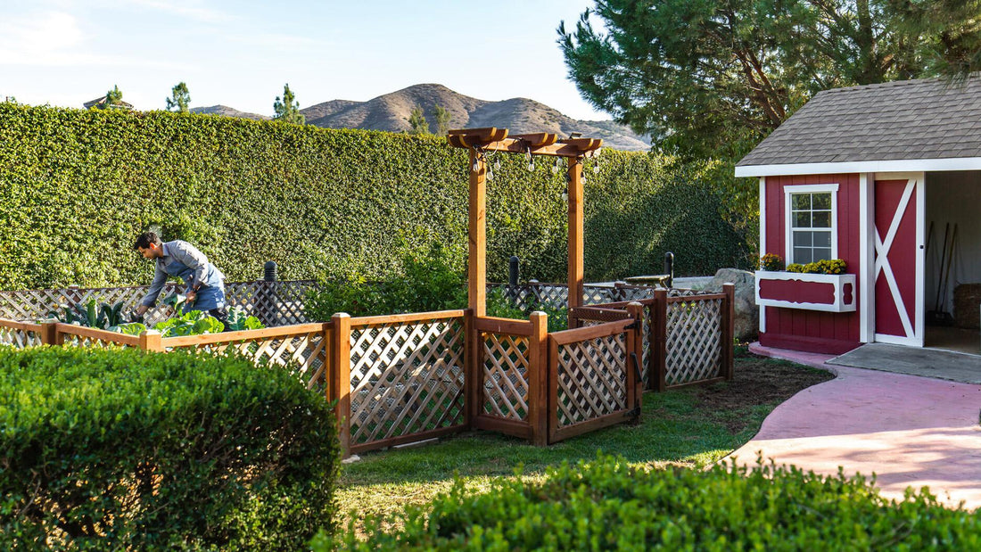 Creating a Four-Season Garden: Beauty Beyond Spring