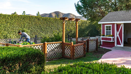 Creating a Four-Season Garden: Beauty Beyond Spring