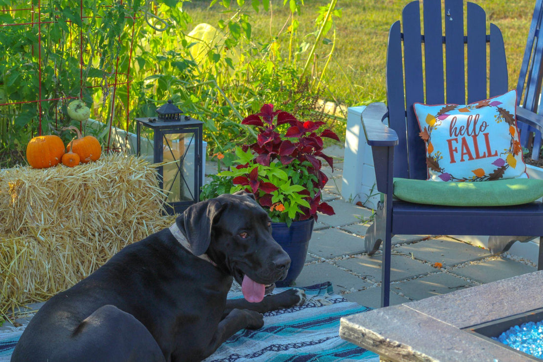 Outdoor Blanket Styling: How to Make Your Patio Feel Warm and Inviting in Cooler Weather