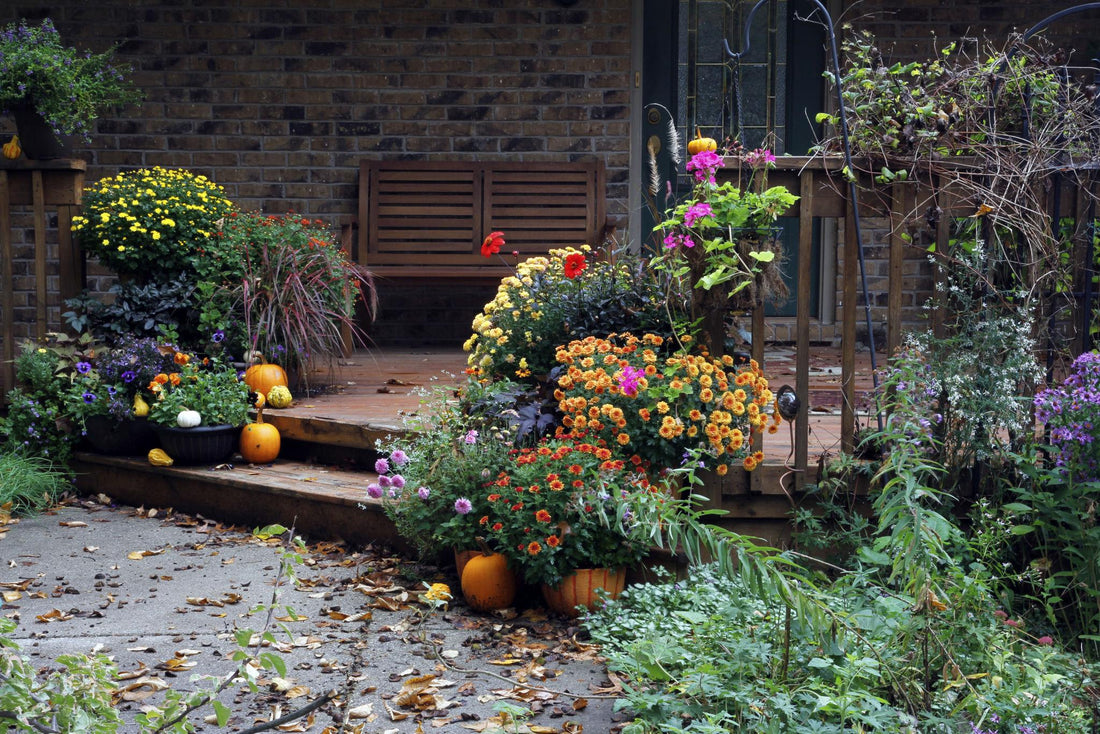 Fall Planter Styling Ideas: Easy Seasonal Updates That Make Outdoor Spaces Feel Alive