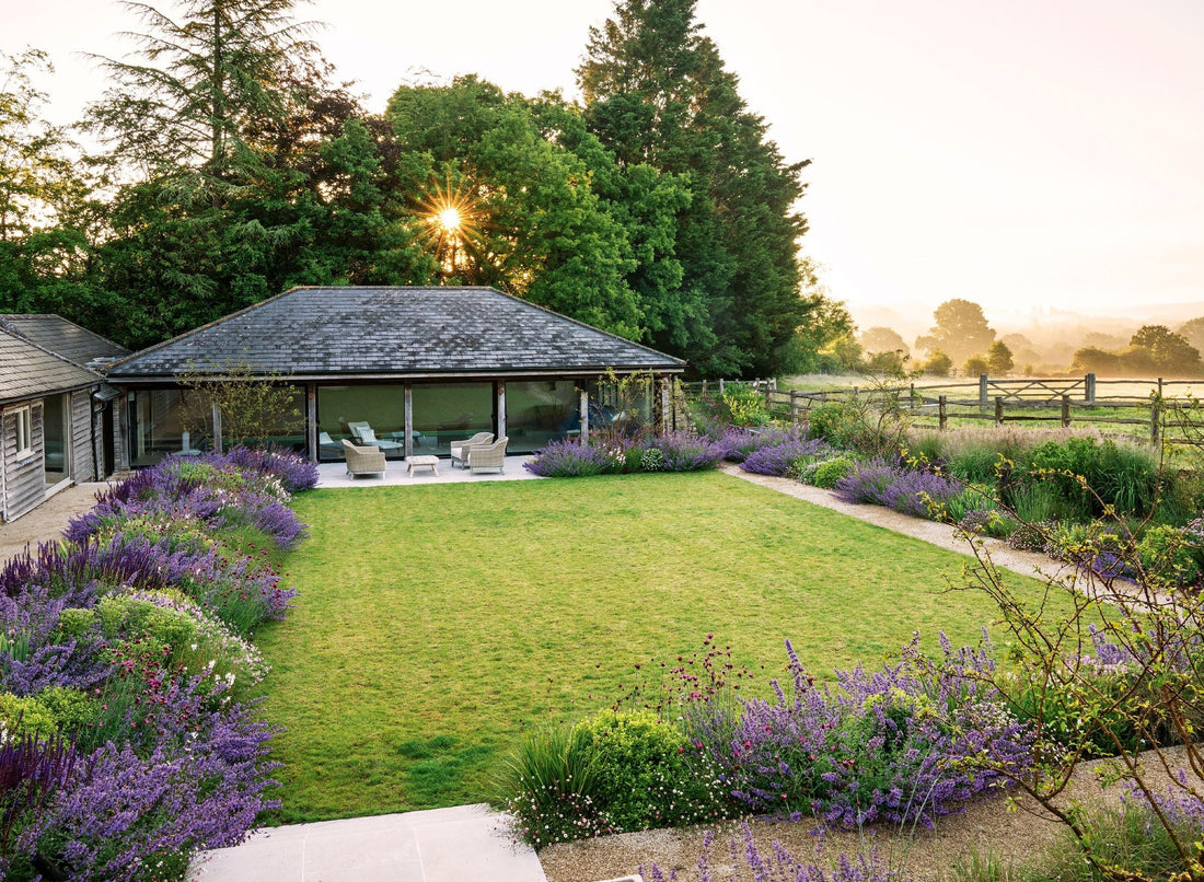The Backyard Morning Routine: Simple Garden Ideas That Help You Start Every Day Better