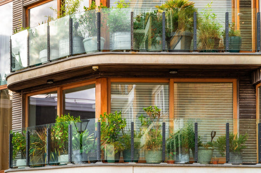 Container Gardening for Beginners: How to Grow Beautiful Spaces Anywhere