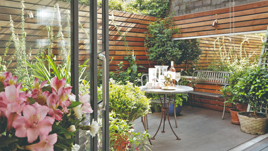 The Hidden Power of Negative Space in Garden Design
