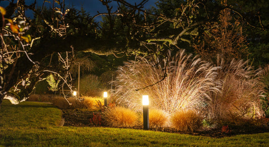 Simple Garden Pathway Ideas: Elegant Ways to Improve Backyard Flow and Style