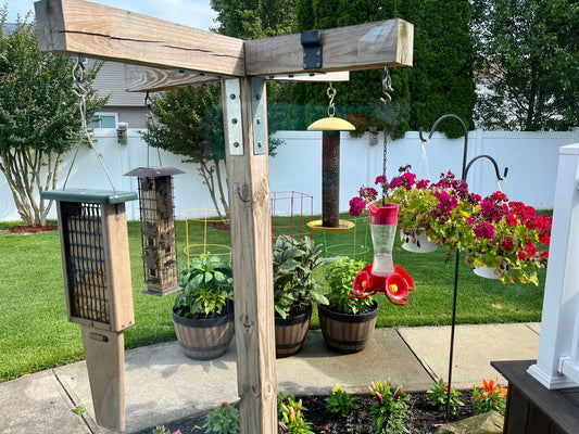Backyard Bird-Friendly Garden Ideas: How to Create a Peaceful Outdoor Sanctuary