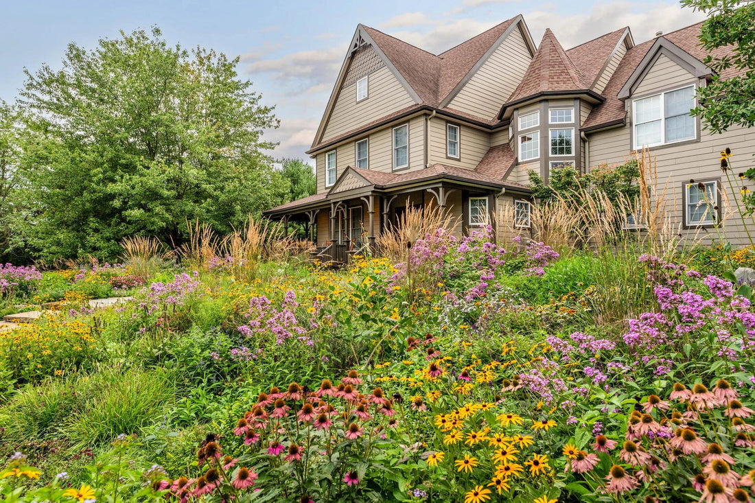 The Beauty of Native Plants: How to Build a Garden That Thrives Naturally