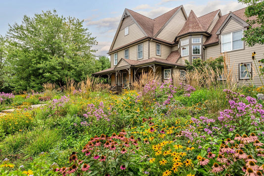 The Beauty of Native Plants: How to Build a Garden That Thrives Naturally