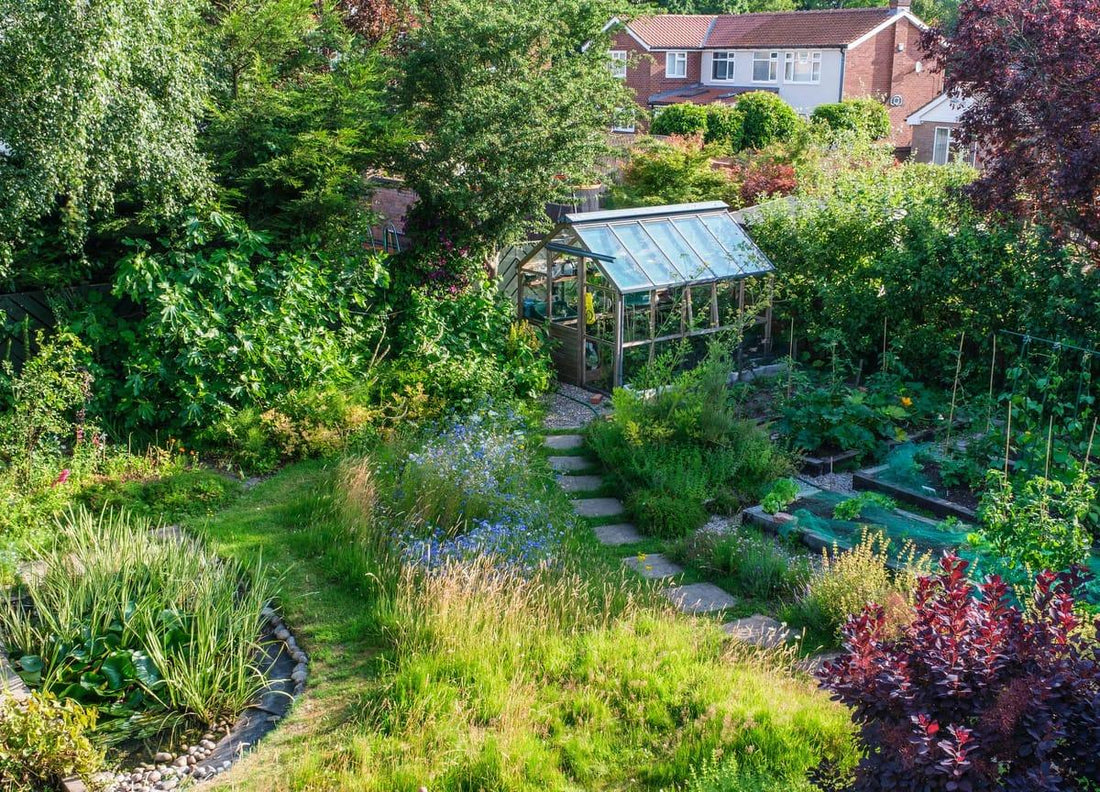 How to Create a Wildlife-Friendly Garden That Supports Nature