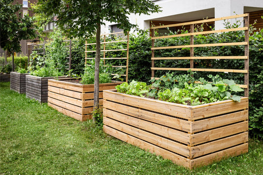 Raised Garden Beds: A Smart Way to Improve Growing Success