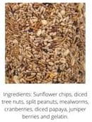 JCs Wildlife Bugs Nuts and Berries Premium Bird Seed Large Cylinder with Hole, 3.8 lb (6)