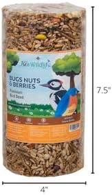 JCs Wildlife Bugs, Nuts and Berries Premium Bird Seed Small Cylinder with Hole, 1.5 lb (4 Cylinder)