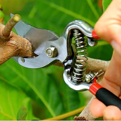 GARDEN GURU Classic Bypass Pruning Shears Clippers – Heavy Duty Forged Steel Garden Pruners – Safety Lock – Non Slip Comfort Grips – Cuts up to 1” Diameter – Professional Bypass Pruners for Gardening