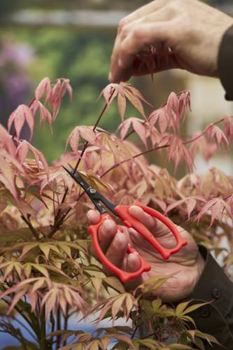 Felco 420 Trimming Scissors – 6.1" Swiss-Made Garden Clippers with Fine Tip & Non-Stick Blade | Pruning Shears for Gardening | Garden Scissors for Plant with Stainless Steel Blade, Built-In Ruler