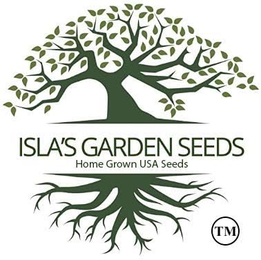 Date Plum Persimmon Tree Seeds (Diospyros Lotus) – 30+ Non-GMO & Heirloom Seeds, Exotic & Rare Fruit Tree, 80% Germination Rate, by Isla’s Garden Seeds, Unique Edible Landscape Addition