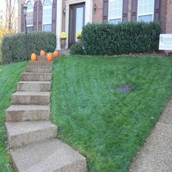 Outsidepride Combat Extreme Southern Zone Grass Seeds for Lawn - 10 lbs. SPF 30 Heat & Drought Tolerant Mix of Turf Type Fescue & Hybrid Bluegrass Seed with OptiGrowth Coating Enhanced Germination