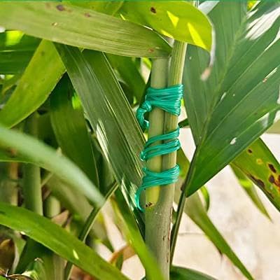 Rocky Mountain Goods Twist Ties for Plants with Cutter - Green Garden Twist Ties for Outdoor/Indoor Plants, Climbing Plants - 100 Feet Cut to Custom Length - Soft But Strong Support for Delicate