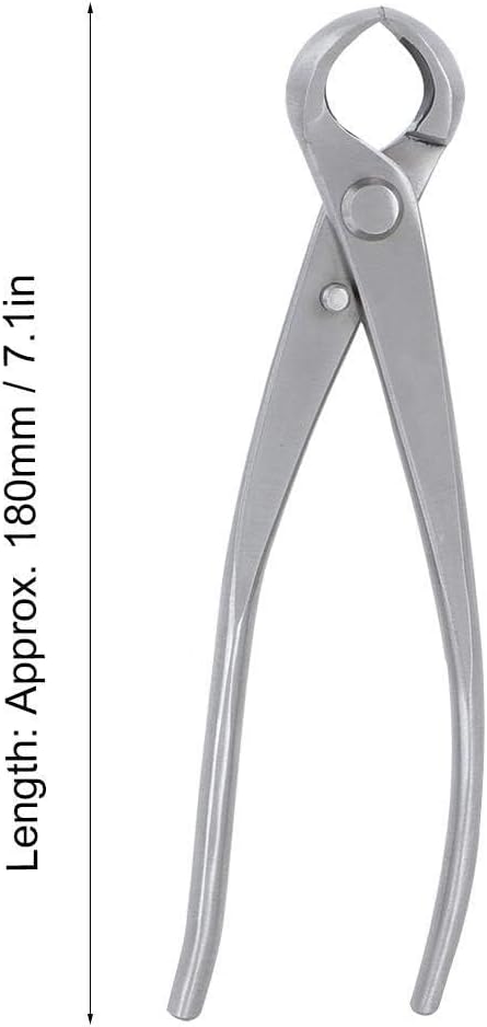 Bonsai Branch Cutter, 7in(180mm) Stainless Steel Concave Knob Cutter Tree Limb Cutter Bonsai Pruning Japanese Gardening Tools for Enthusiasts and Beginners